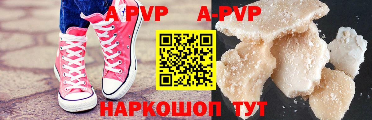 Альфа ПВП СК Тверь
