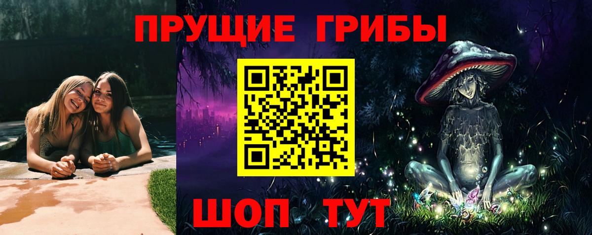 Псилоцибиновые грибы GOLDEN TEACHER  Псилоцибиновые грибы мухоморы  купить наркотики сайты  Тверь  Вход с VPN 