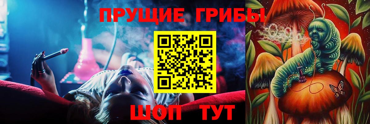 Псилоцибиновые грибы GOLDEN TEACHER Тверь